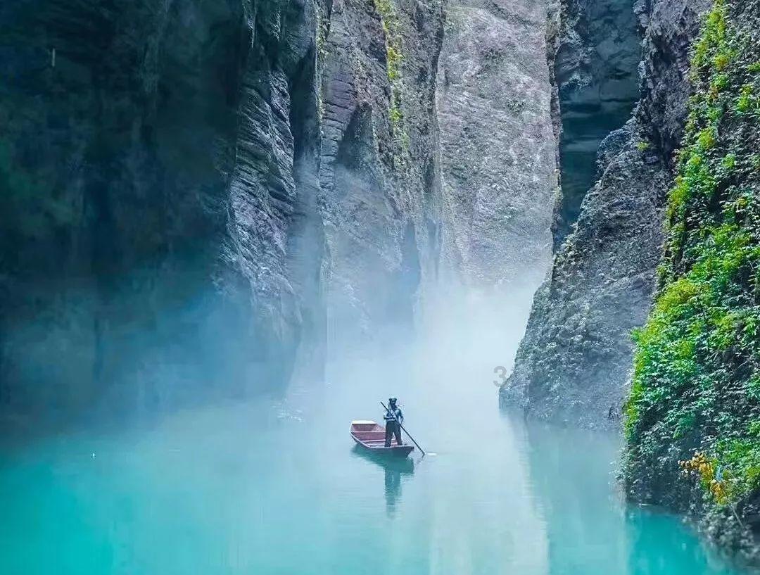 豆浆和牛奶哪个好游戏画面